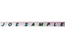JOE SAMPLE